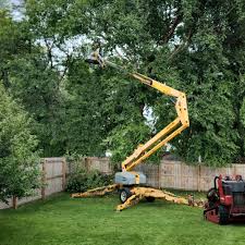 Best Tree Maintenance Programs  in Parkwood, CA